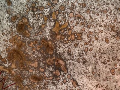 Professional water damage restoration services in london - SafeHaven Property Rescue